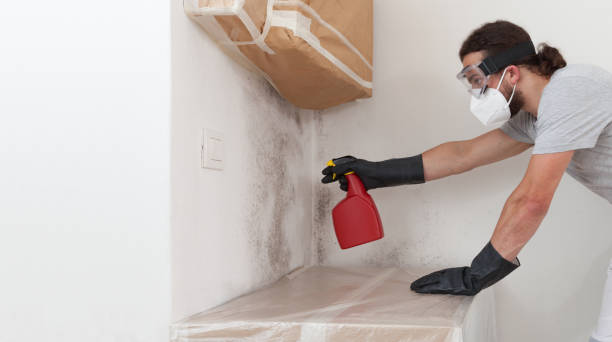 Professional Mold Removal technician working in Thorndale, TX